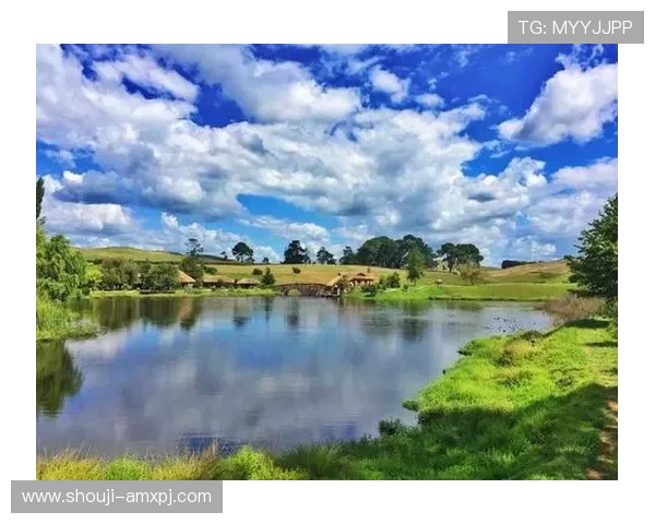新普京足球官网首页介绍丰富的会员服务和互动社区增强用户体验感